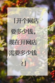 开个网店要多少钱,现在开网店需要多少钱?