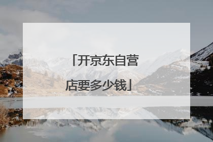 开京东自营店要多少钱