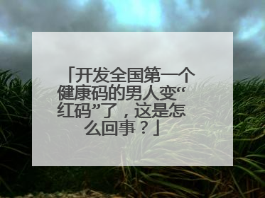 开发全国第一个健康码的男人变“红码”了,这是怎么回事?