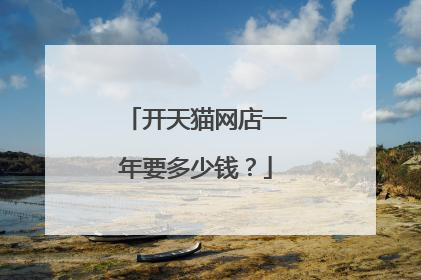 开天猫网店一年要多少钱?