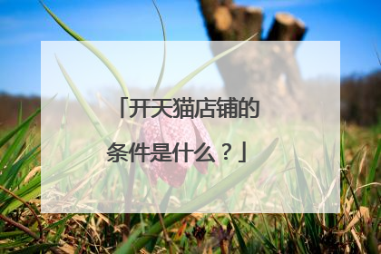 开天猫店铺的条件是什么?