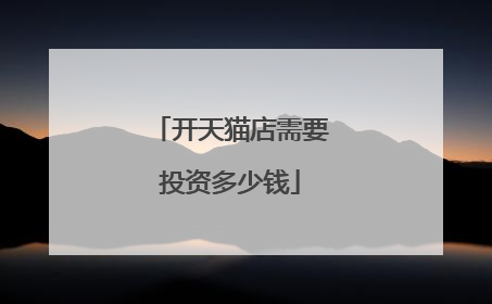 开天猫店需要投资多少钱