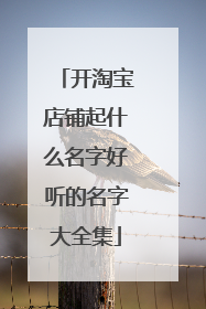 开淘宝店铺起什么名字好听的名字大全集