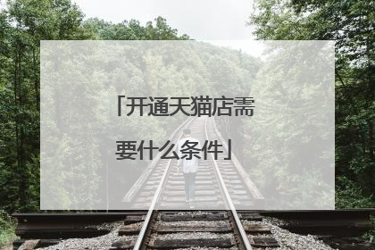 开通天猫店需要什么条件