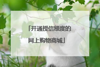 开通授信额度的网上购物商城