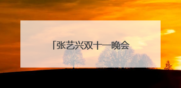张艺兴双十一晚会2021在哪个台