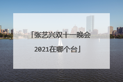 张艺兴双十一晚会2021在哪个台