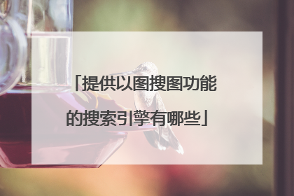 提供以图搜图功能的搜索引擎有哪些