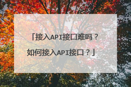 接入API接口难吗?如何接入API接口?