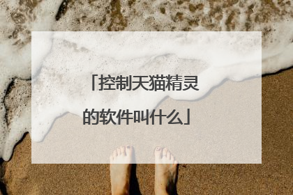控制天猫精灵的软件叫什么
