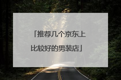 推荐几个京东上比较好的男装店