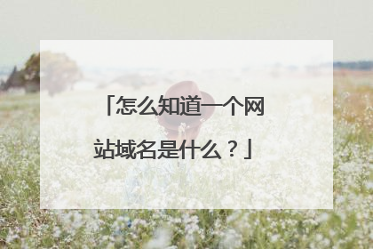 怎么知道一个网站域名是什么?