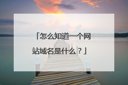 怎么知道一个网站域名是什么?