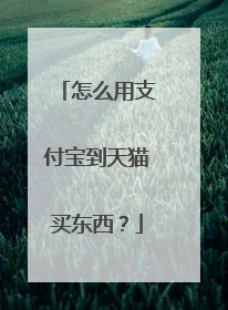 怎么用支付宝到天猫买东西?