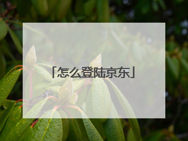 怎么登陆京东