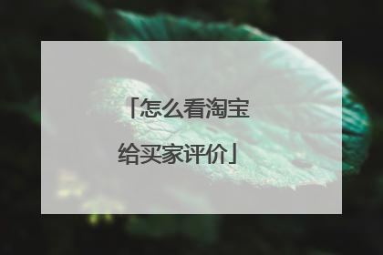 怎么看淘宝给买家评价