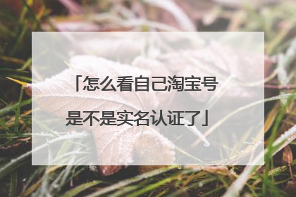 怎么看自己淘宝号是不是实名认证了