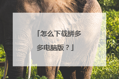 怎么下载拼多多电脑版？
