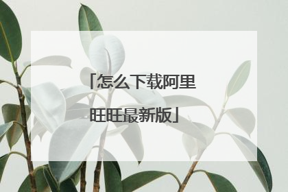 怎么下载阿里旺旺最新版