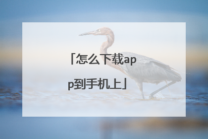 怎么下载app到手机上