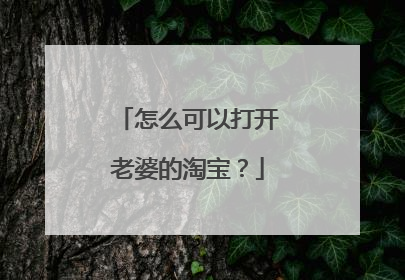 怎么可以打开老婆的淘宝？