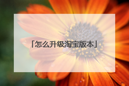 怎么升级淘宝版本