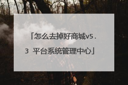 怎么去掉好商城v5.3 平台系统管理中心