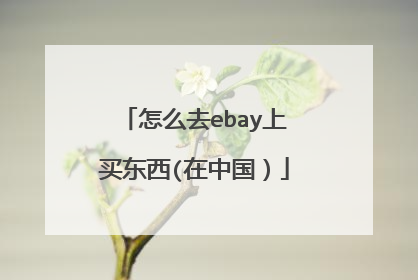 怎么去ebay上买东西(在中国)