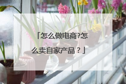 怎么做电商?怎么卖自家产品?