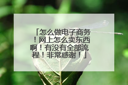 怎么做电子商务！网上怎么卖东西啊！有没有全部流程！非常感谢！