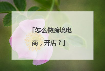 怎么做跨境电商,开店?