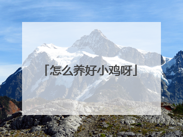 怎么养好小鸡呀