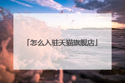 怎么入驻天猫旗舰店