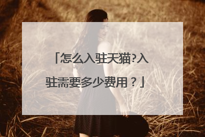 怎么入驻天猫?入驻需要多少费用?