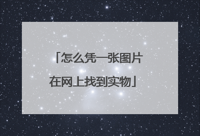 怎么凭一张图片在网上找到实物