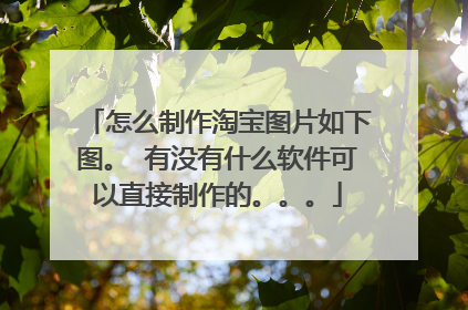 怎么制作淘宝图片如下图。 有没有什么软件可以直接制作的。。。