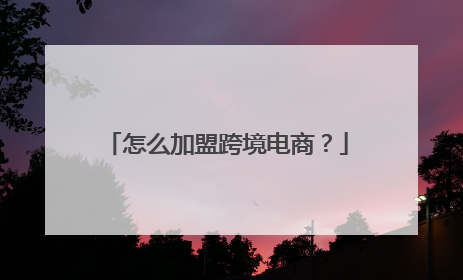 怎么加盟跨境电商?