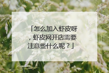 怎么加入虾皮呀,虾皮网开店需要注意些什么呢?