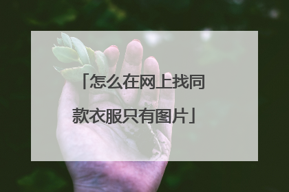 怎么在网上找同款衣服只有图片