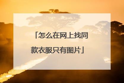 怎么在网上找同款衣服只有图片