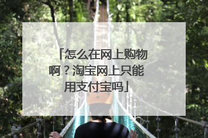 怎么在网上购物啊?淘宝网上只能用支付宝吗