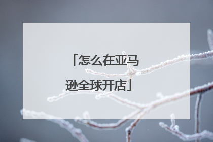 怎么在亚马逊全球开店