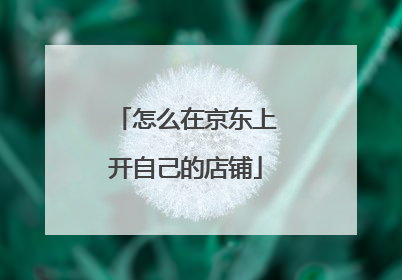 怎么在京东上开自己的店铺