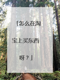 怎么在淘宝上买东西呀?