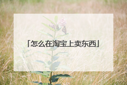 怎么在淘宝上卖东西