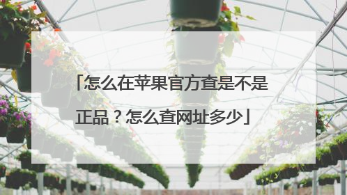 怎么在苹果官方查是不是正品?怎么查网址多少