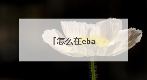 怎么在ebay上买东西