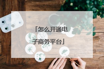 怎么开通电子商务平台