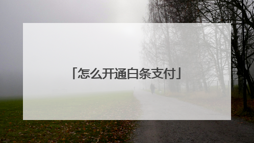怎么开通白条支付