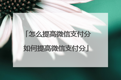怎么提高微信支付分 如何提高微信支付分